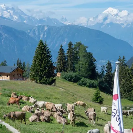 Apartment Adler 30 Riederalp