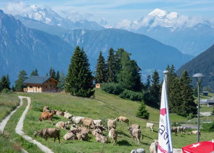 Daire Adler 30 Riederalp