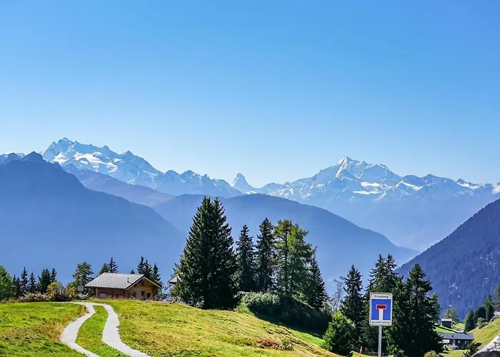 Daire Adler 30 Riederalp